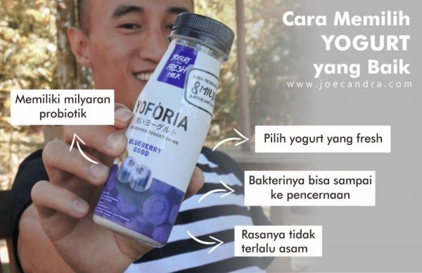 Yoforia fresh yogurt