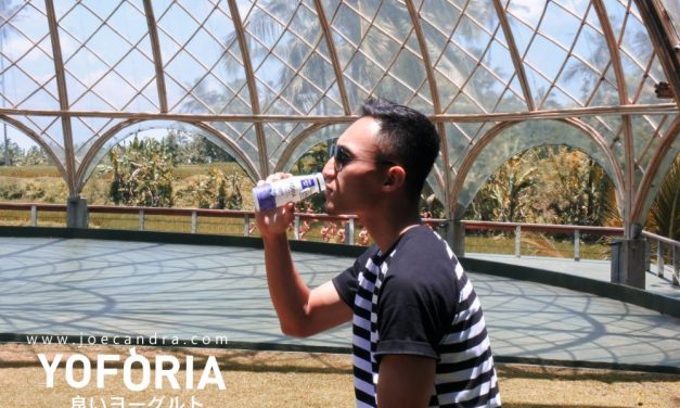 Traveling untuk Kebahagiaan Hidup dan Hidup Sehat Bersama Yoforia