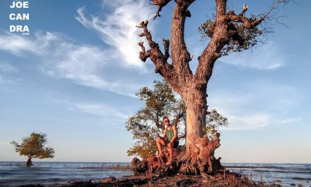 Pantai Gundil : Wisata Situbondo yang Instagramable dan Sepi