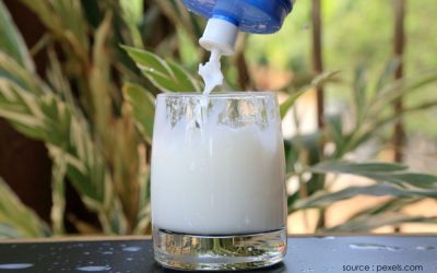 Susu Kental Manis Apakah Susu? Ini Faktanya!