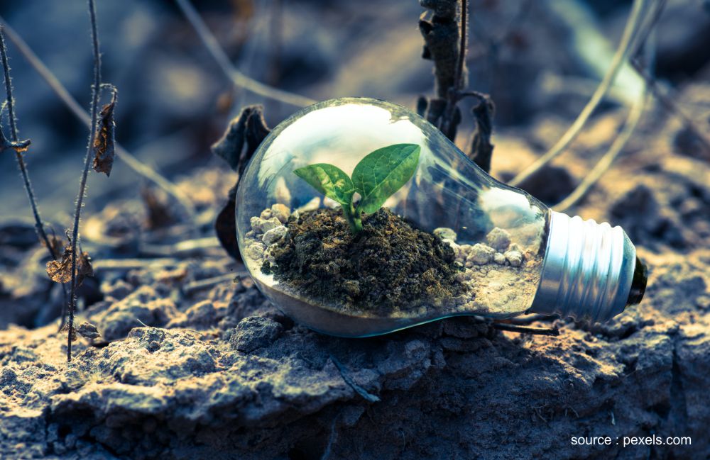 green economy Indonesia