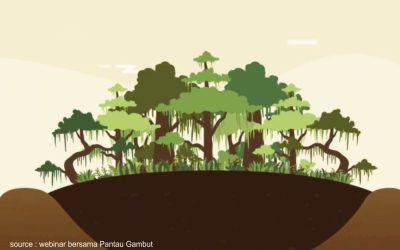 7 Bahaya Lahan Gambut Jika Tidak Dijaga dengan Baik