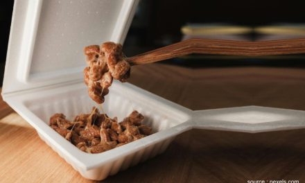 Dari Limbah Tak Berguna Jadi Berkah: Perjalanan Mengubah Styrofoam Bersama Budi Sugiarto