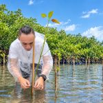 Inilah Jejak Restorasi Mangrove Kampung Friwen: Dari Hutan Lindung hingga Ekowisata Berkelanjutan