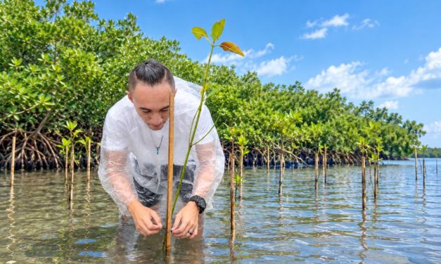 Inilah Jejak Restorasi Mangrove Kampung Friwen: Dari Hutan Lindung hingga Ekowisata Berkelanjutan
